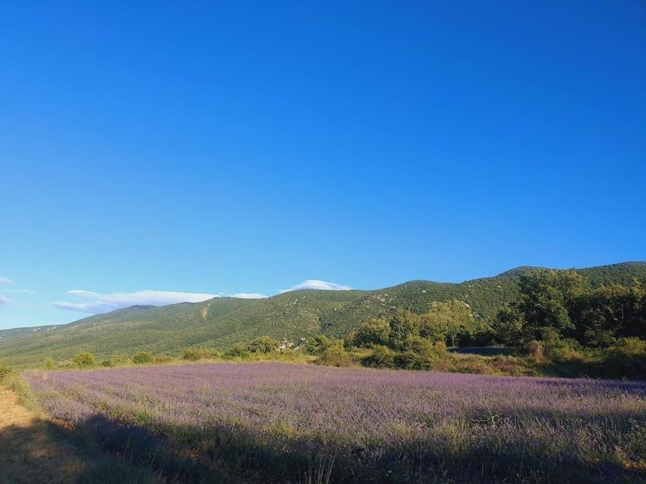 La Castellane, Vue Imprenable Sur Le Luberon Villa Saignon Dış mekan fotoğraf