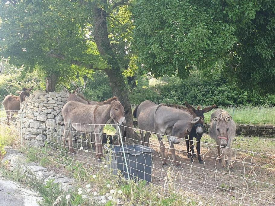 La Castellane, Vue Imprenable Sur Le Luberon Villa Saignon Dış mekan fotoğraf